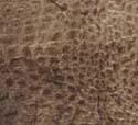 Cocco Canyon Marrone